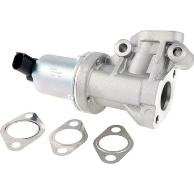 DELPHI EG10614-12B1 Vanne EGR - ohne EGR-Kühler DELPHI EG10614-12B1 Vanne EGR - ohne EGR-Kühler