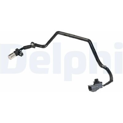 Sensore posizione albero a camme DELPHI SS12365-12B1 - Sensore albero a camme Sensore posizione albero a camme DELPHI SS12365-12B1 - Sensore albero a camme