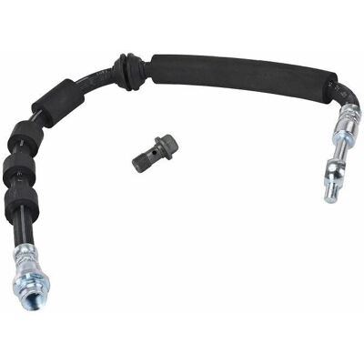 DELPHI LH7976 Jarruhihna - M10x1 120° SF, Banjo, 485mm DELPHI LH7976 Jarruhihna - M10x1 120° SF, Banjo, 485mm