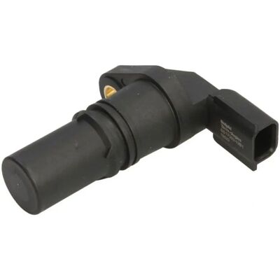 Delphi Vevaxelns Position Sensor - Motor Timing Sensor Delphi Vevaxelns Position Sensor - Motor Timing Sensor