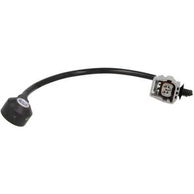 Delphi AS10200 Klopfsensor - Klopfsensor Delphi AS10200 Klopfsensor - Klopfsensor