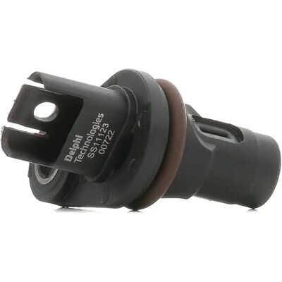 Delphi SS11123 Vridaxelpositionssensor - Hög precision för BMW & MINI Delphi SS11123 Vridaxelpositionssensor - Hög precision för BMW & MINI