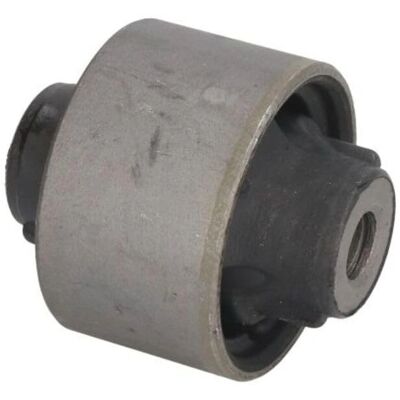 Delphi TD1650W Steuerarm Silentblock - Steuerarm Delphi TD1650W Steuerarm Silentblock - Steuerarm