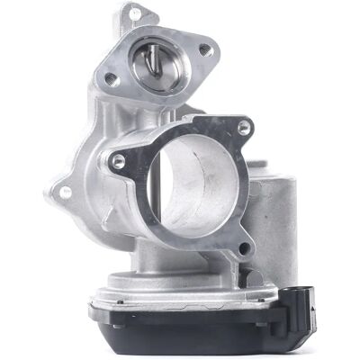 Delphi EG10404-12B1 EGR-Ventil - Für Audi A4/A6 Delphi EG10404-12B1 EGR-Ventil - Für Audi A4/A6