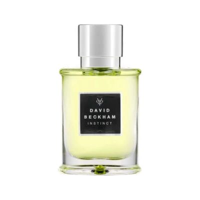 David Beckham Instinct Eau De Toilette Spray - Men David Beckham Instinct Eau De Toilette Spray - Men
