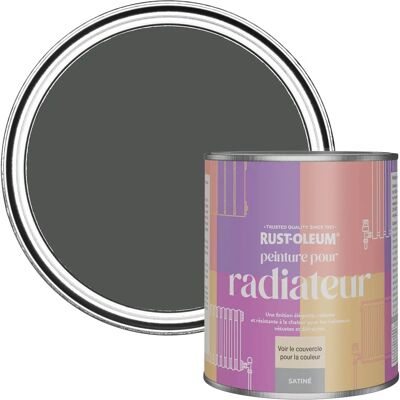 Rust-Oleum Heizkörperfarbe - Graphit - Hitzebeständig - Satin-Finish - 750ml Rust-Oleum Heizkörperfarbe - Graphit - Hitzebeständig - Satin-Finish - 750ml