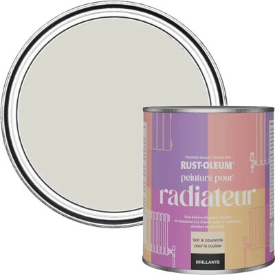 Rust-Oleum - Grey Heat Resistant Radiator Paint - 750ml - Farbe Rust-Oleum - Grey Heat Resistant Radiator Paint - 750ml - Farbe