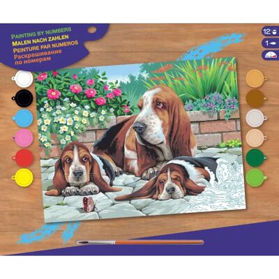 ART Basic Malen nach Zahlen Basset Hunden - Kreatives Malset ART Basic Malen nach Zahlen Basset Hunden - Kreatives Malset