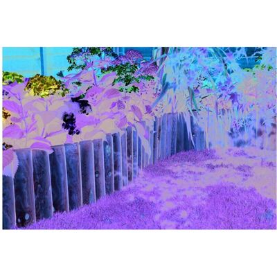 Rowlinson Border Fence - Pack Of 4 - 1.0m Rowlinson Border Fence - Pack Of 4 - 1.0m