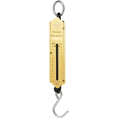 CK CK T6202 044 Balance de Poche - 20Kg/44lb CK CK T6202 044 Balance de Poche - 20Kg/44lb