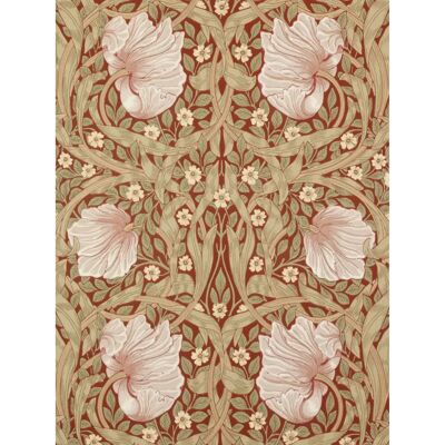 Morris & Co. Pimpernel Tapete - Blumenmuster - Tapete Morris & Co. Pimpernel Tapete - Blumenmuster - Tapete