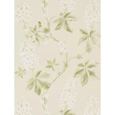 Sanderson Eichenblatt Tapete - Wasserfarben Blumenmuster Sanderson Eichenblatt Tapete - Wasserfarben Blumenmuster