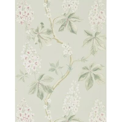 Tapete Chestnut Tree von Sanderson - Seaspray/ Peony Tapete Chestnut Tree von Sanderson - Seaspray/ Peony