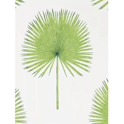 Sanderson Fan Palm Tapete - Elegantes Silhouetten-Design - Tapete Sanderson Fan Palm Tapete - Elegantes Silhouetten-Design - Tapete