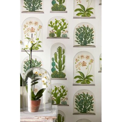 Sanderson - Terrariums Tapete - Chalk/ Green - Tapete Sanderson - Terrariums Tapete - Chalk/ Green - Tapete