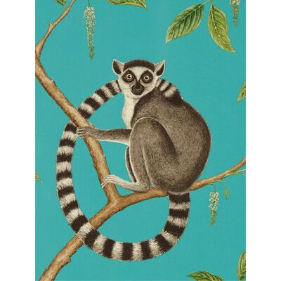 Sanderson Ringtailed Lemur Tapete - Teal Sanderson Ringtailed Lemur Tapete - Teal