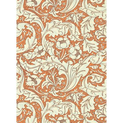 Morris & Co - Tapete Bachelors Button - Wallpaper Morris & Co - Tapete Bachelors Button - Wallpaper