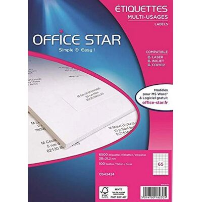 Avery Office Star Vita Etiketter - Flera användningsområden - 48,5x25,4mm Avery Office Star Vita Etiketter - Flera användningsområden - 48,5x25,4mm
