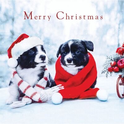 Woodmansterne - Cosy Nights Charity Christmas Card - Pack 5 - Greeting Card Woodmansterne - Cosy Nights Charity Christmas Card - Pack 5 - Greeting Card