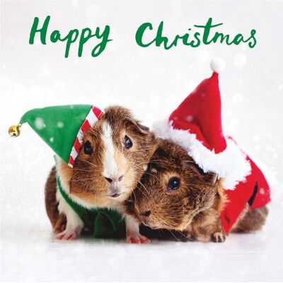 Woodmansterne - Christmas Joy - 5 cards Woodmansterne - Christmas Joy - 5 cards