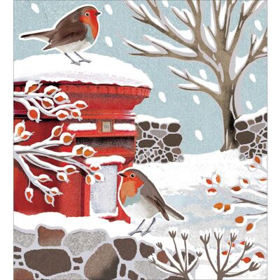 Woodmansterne - Festive Robin Charity Cards 5-pack - Greeting cards Woodmansterne - Festive Robin Charity Cards 5-pack - Greeting cards