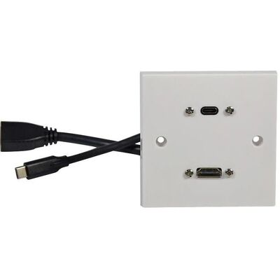 Av:Link 1 Gang USB4 Multimedia HDMI 2.1 USB-C Wall Plate Av:Link 1 Gang USB4 Multimedia HDMI 2.1 USB-C Wall Plate