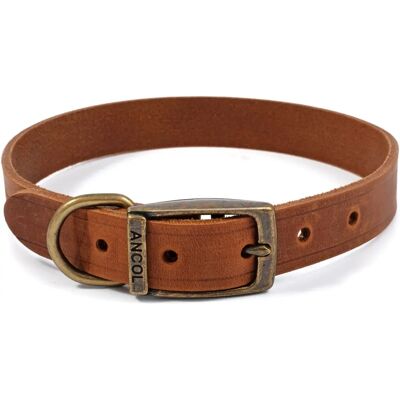 Ancol Latigo Lederhalsband Chestnut 28-36cm Größe 3 Ancol Latigo Lederhalsband Chestnut 28-36cm Größe 3