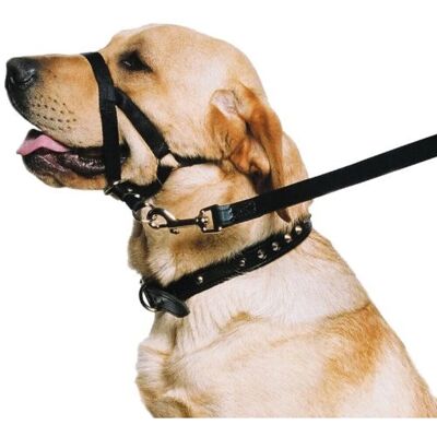 Ancol Dog Training Halter - Head Collar - Helps Stop Pulling - Size: M (3-4) Ancol Dog Training Halter - Head Collar - Helps Stop Pulling - Size: M (3-4)
