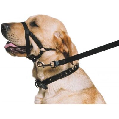 Ancol Training Halter - Black - Size 7-9 - Training Halter Ancol Training Halter - Black - Size 7-9 - Training Halter