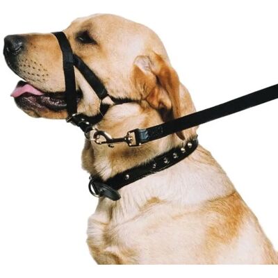 Ancol Training Halter - Black - Size 7-9 - Training Halter Ancol Training Halter - Black - Size 7-9 - Training Halter