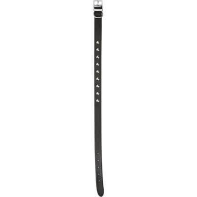 Ancol Heritage Leather Stud Dog Collar - Black - Size 7 Ancol Heritage Leather Stud Dog Collar - Black - Size 7