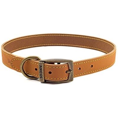 Ancol Timberwolf Leather Collar Mustard 55-63cm Size 8 - Dog Collar Ancol Timberwolf Leather Collar Mustard 55-63cm Size 8 - Dog Collar
