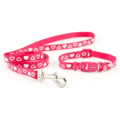 Ancol Small Bite Collier et Ensemble de Liaison Cœur - Type de Chien Ancol Small Bite Collier et Ensemble de Liaison Cœur - Type de Chien