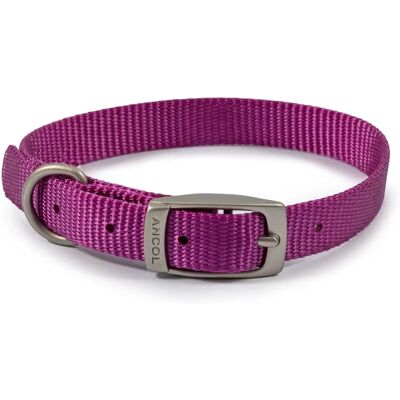 Collier pour Chien Ancol Viva Violet - Collier pour Chien Collier pour Chien Ancol Viva Violet - Collier pour Chien