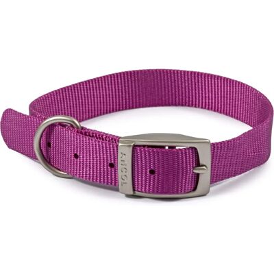 Collier pour Chien Ancol Viva Violet - Taille 4 Collier pour Chien Ancol Viva Violet - Taille 4