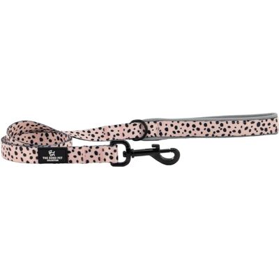 Ancol Dalmatian Patterned Dog Lead - Secure Fit, Padded Grip, Sturdy Pet Ancol Dalmatian Patterned Dog Lead - Secure Fit, Padded Grip, Sturdy Pet