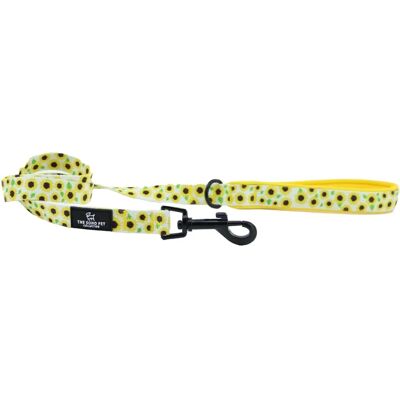 Ancol Sunflower Patterned Dog Lead - Secure Fit & Padded Grip Ancol Sunflower Patterned Dog Lead - Secure Fit & Padded Grip
