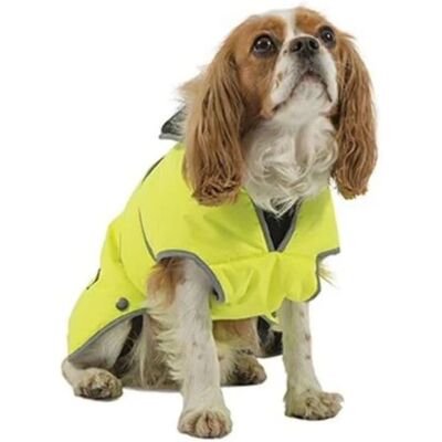 Ancol Stormguard Gelber Großer Hundemantel Ancol Stormguard Gelber Großer Hundemantel