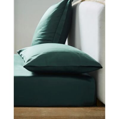 Lenzuolo Fisso Ted Baker Verde - Taglia Double - 250 Fili Lenzuolo Fisso Ted Baker Verde - Taglia Double - 250 Fili