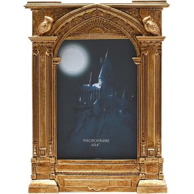 Cornice dorata Harry Potter Alumni Hogwarts - Design di ingresso 3D Cornice dorata Harry Potter Alumni Hogwarts - Design di ingresso 3D