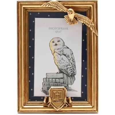 Cadre photo doré Harry Potter - Hedwig - Cadre 3D Cadre photo doré Harry Potter - Hedwig - Cadre 3D