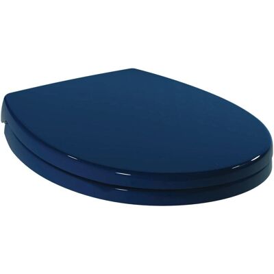 Ideal Standard Contour 21 Blau WC-Sitz - Toilet Seat Ideal Standard Contour 21 Blau WC-Sitz - Toilet Seat