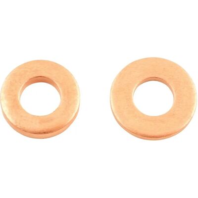 Honda Civic 2020 - Injector Washer - Copper - 16mm - 50 pcs Honda Civic 2020 - Injector Washer - Copper - 16mm - 50 pcs