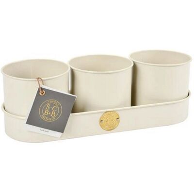 Burgon & Ball Sophie Conran Herb Pots & Tray - Herbes - Herb Pots & Tray Burgon & Ball Sophie Conran Herb Pots & Tray - Herbes - Herb Pots & Tray