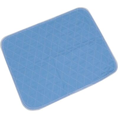 Aidapt Almohadilla de Incontinencia Azul - Protector de Silla Aidapt Almohadilla de Incontinencia Azul - Protector de Silla
