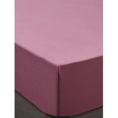 LAURA ASHLEY - 400TC Baumwolle - Einzel 90x190 - Spannbettlaken LAURA ASHLEY - 400TC Baumwolle - Einzel 90x190 - Spannbettlaken