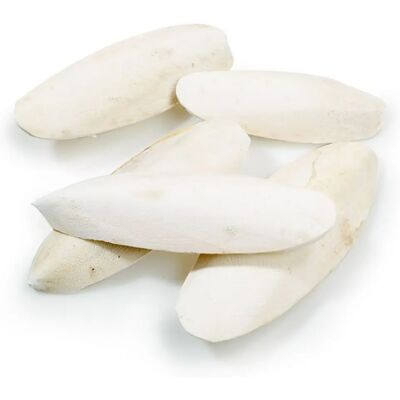 Caldex Classic Cuttlebones Bird Treats - Bulk Pack 2.27kg Caldex Classic Cuttlebones Bird Treats - Bulk Pack 2.27kg