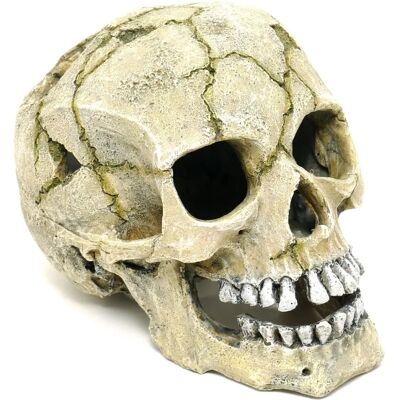 CLASSIC FOR PETS Cracked Skull Fish Ornament - Fish Ornament CLASSIC FOR PETS Cracked Skull Fish Ornament - Fish Ornament