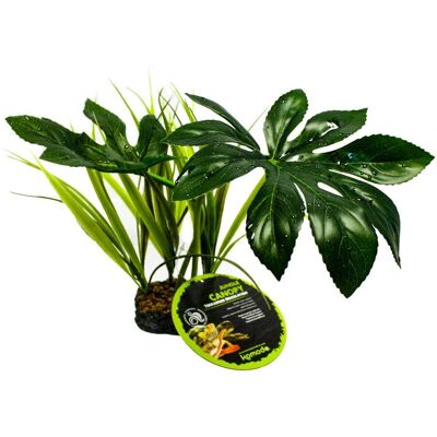 Komodo Jungle Canopy - Rośliny do terrarium - Zielony Komodo Jungle Canopy - Rośliny do terrarium - Zielony
