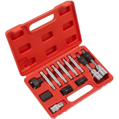 Set pentru îndepărtarea șinei de alternator Sealey SX401 - Unelte auto Set pentru îndepărtarea șinei de alternator Sealey SX401 - Unelte auto